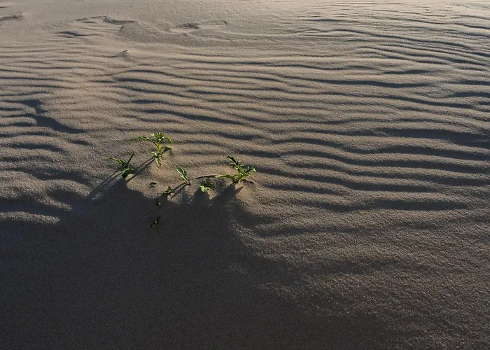 Lejlighed Cote Dunes *