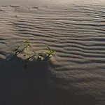 Lejlighed Cote Dunes *